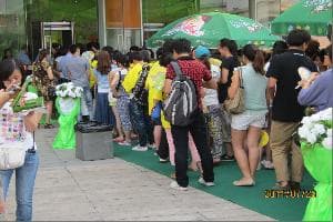 王心凌、言承旭、宋祖英、周杰倫、粱靜茹演唱會